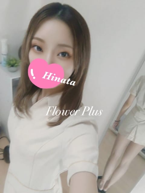 日向(2枚目) | flower plus (フラワープラス)