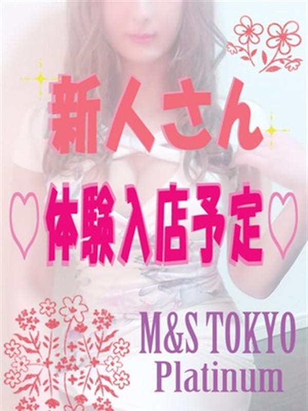 ♡体験入店予定♡(1枚目) | M&S Tokyo platinum