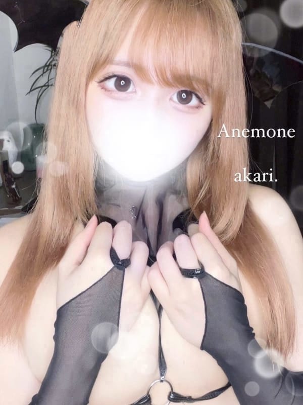 あかり(2枚目) | Anemoneアネモネ