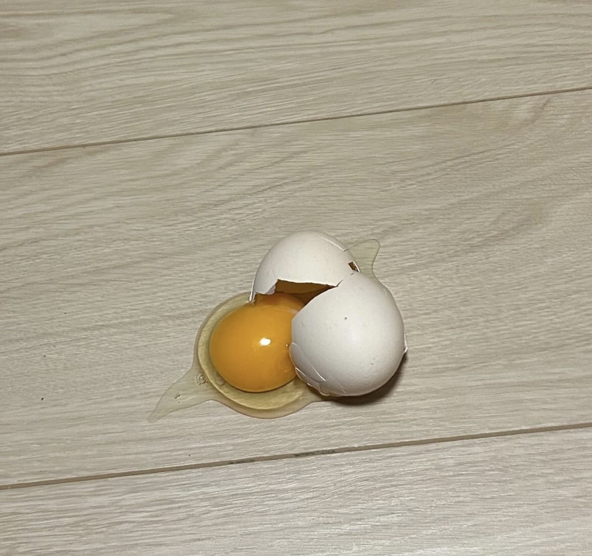 「卵が落ちる瞬間ってスローモーション」12/04(月) 18:20 | エナの写メ日記