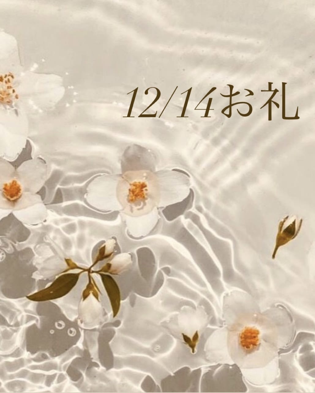 「12/14お礼」12/15(金) 09:41 | あかりの写メ日記