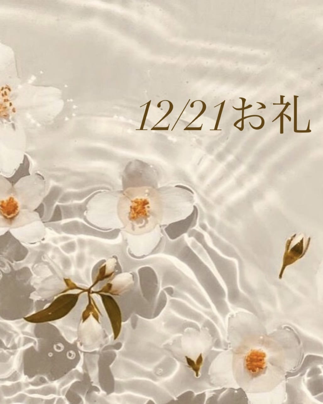 「12/21お礼」12/22(金) 11:42 | あかりの写メ日記