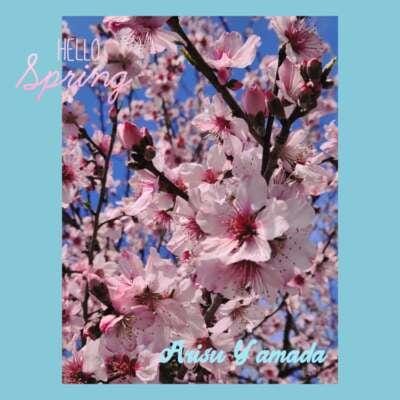 「♪春到来♪」04/02(火) 14:35 | 山田ありすの写メ日記