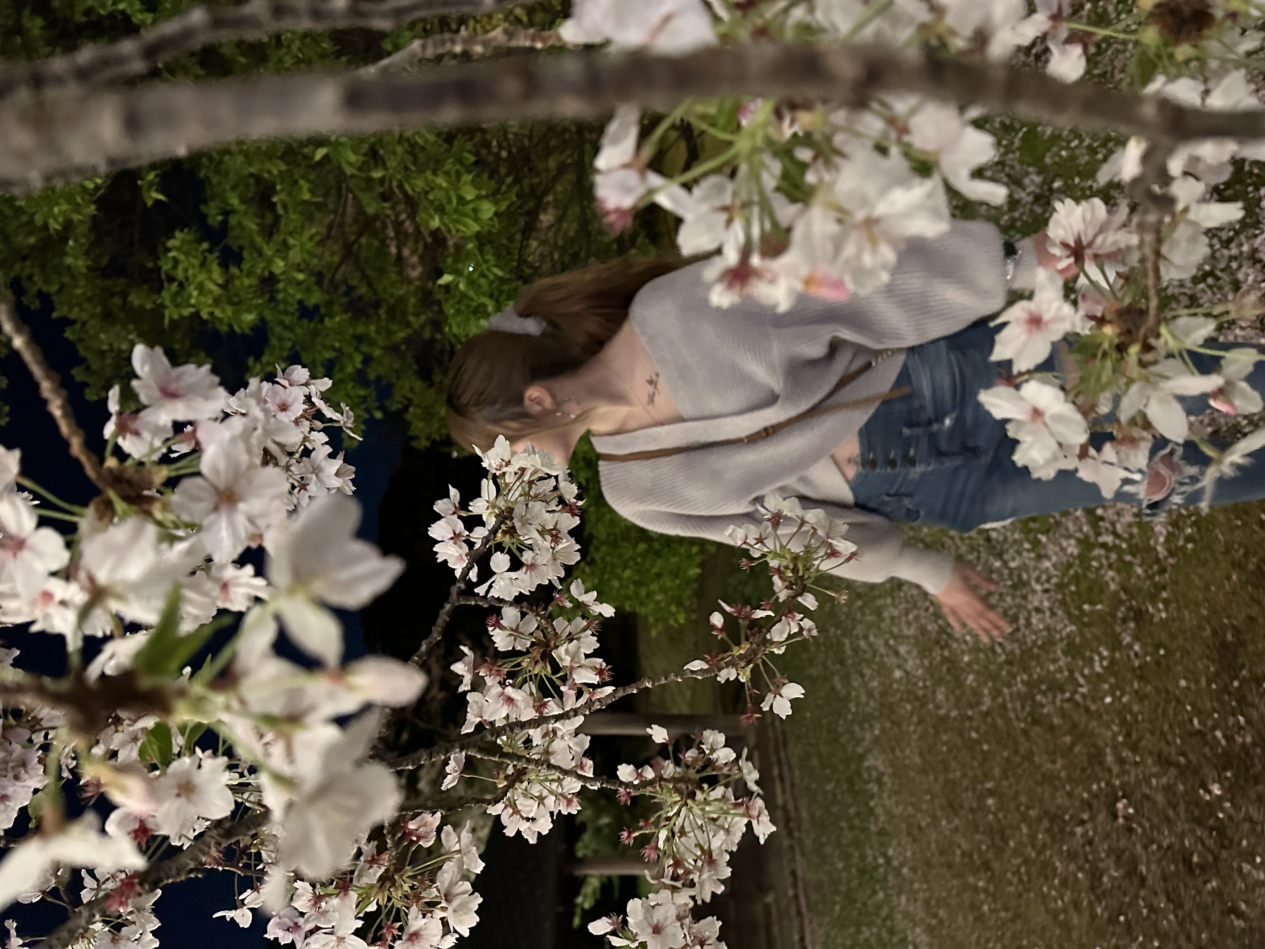 「桜見てきたのー‪(՞ .ˬ. ՞)♡」04/09(火) 23:12 | さなの写メ日記