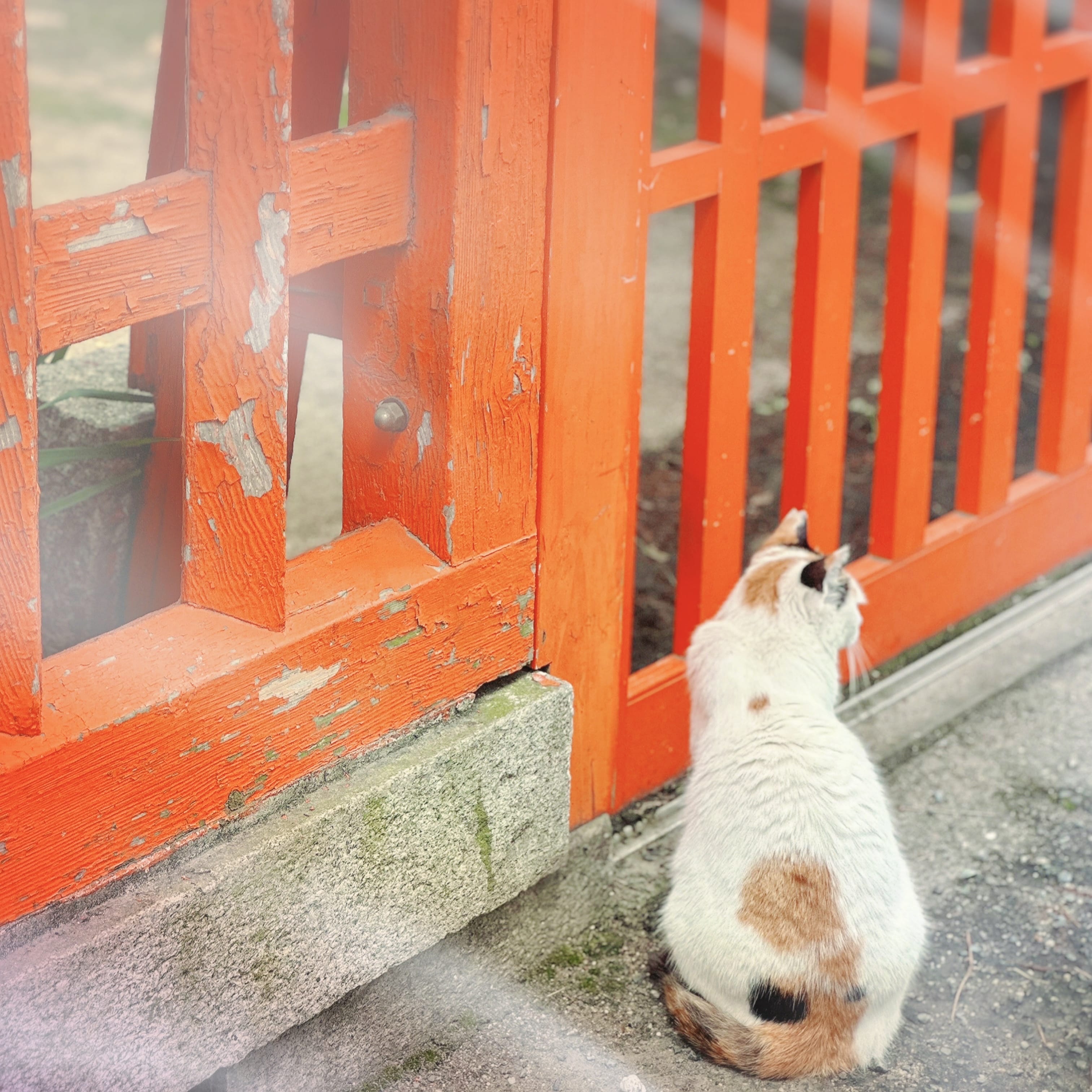 「また逢えるかな」06/28(金) 16:36 | 吉高みやこの写メ日記