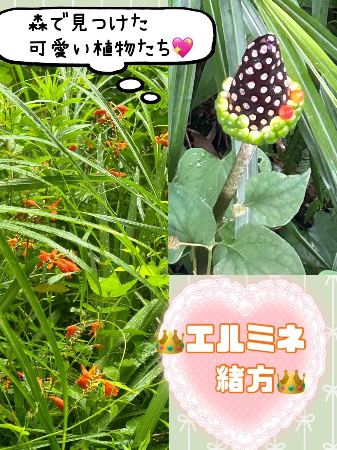 「」07/12(金) 12:54 | 緒方の写メ日記