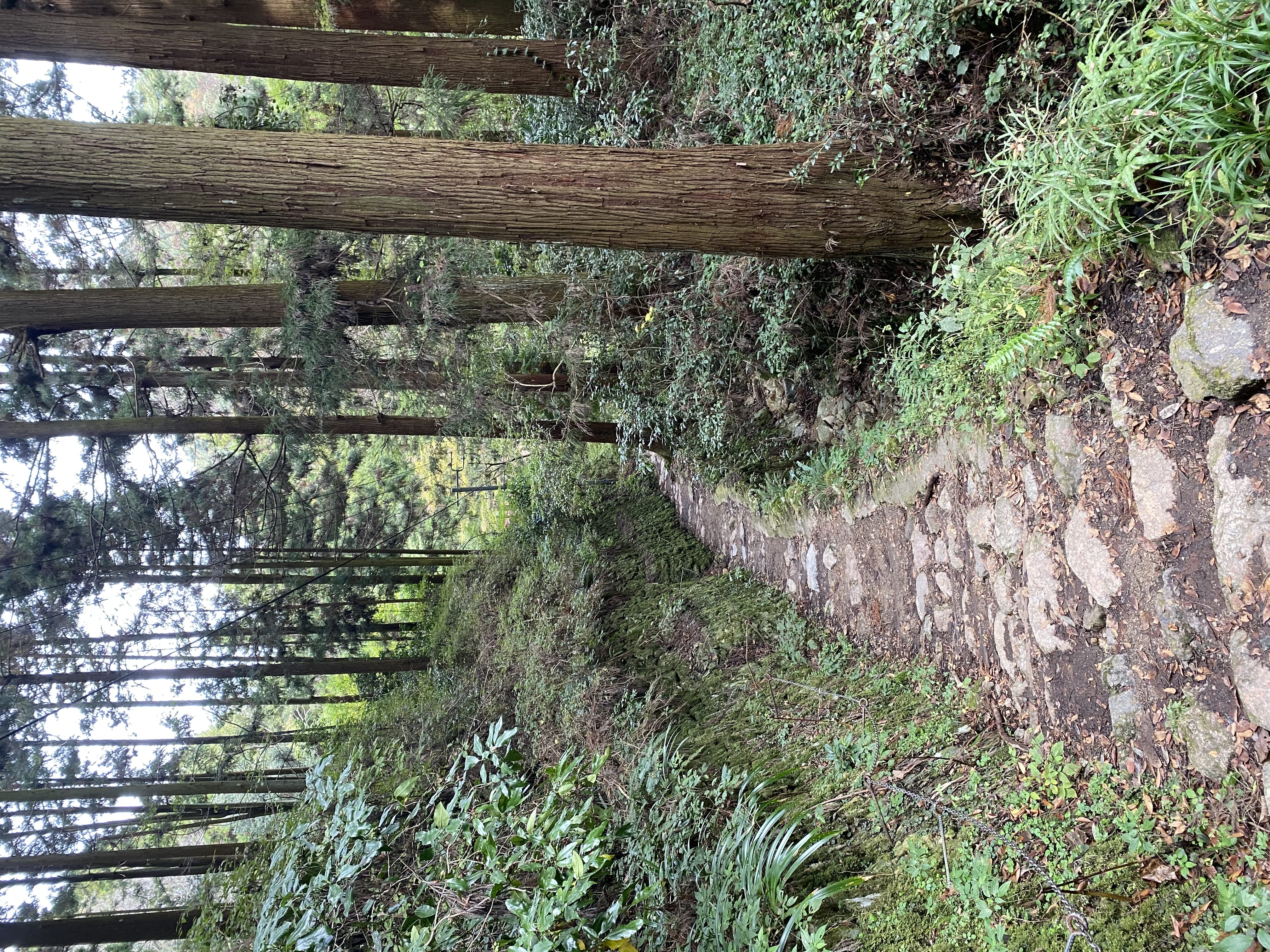 「いつか富士山に登りたい」08/11(日) 06:43 | 小紫ののの写メ日記