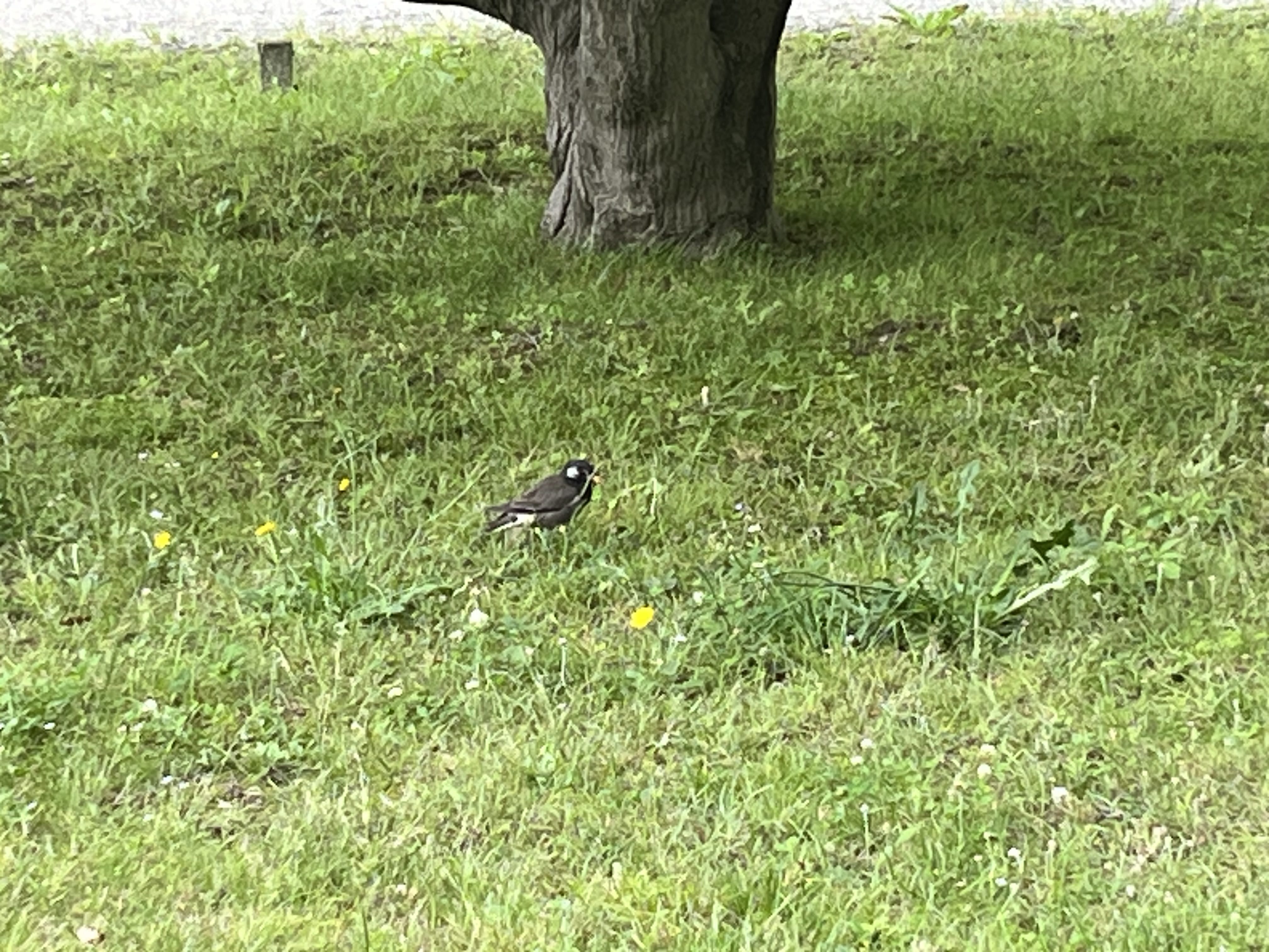 「ここはどこでしょう？」08/13(火) 17:50 | 一ノ瀬ひなの写メ日記