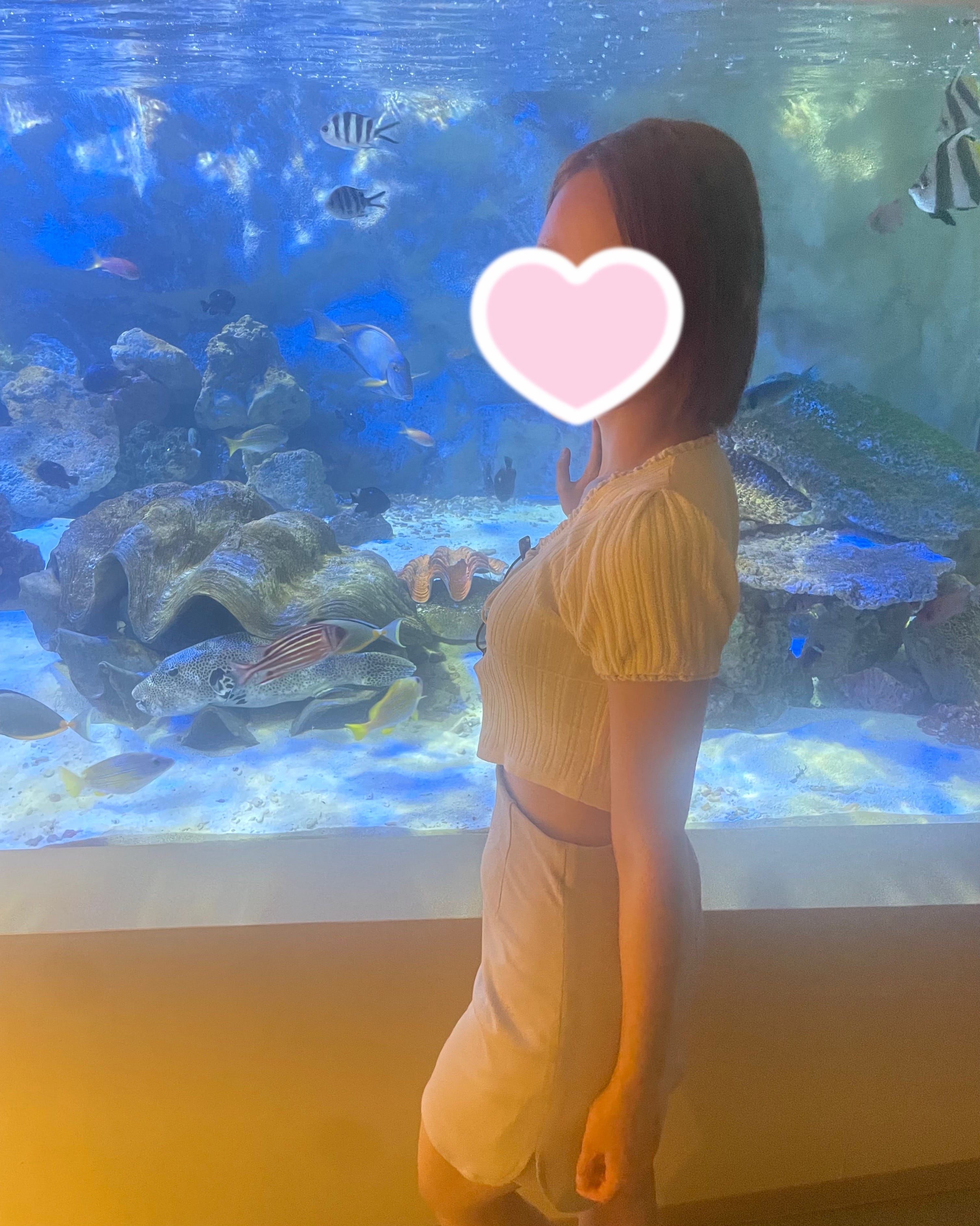 「今日は水族館」09/08(日) 20:23 | みうの写メ日記