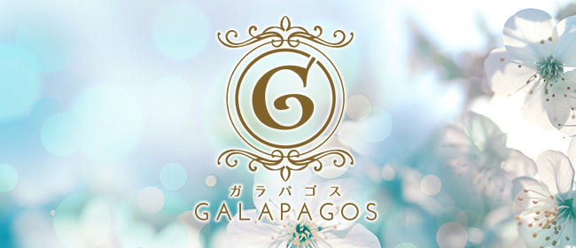 GALAPAGOS（ガラパゴス） 溝の口店