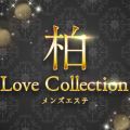 柏 Love Collection