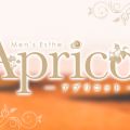 Apricot（アプリコット）