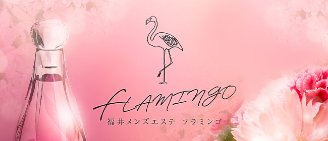 福井メンズエステ『フラミンゴ～FLAMINGO～』