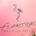 福井メンズエステ『フラミンゴ～FLAMINGO～』