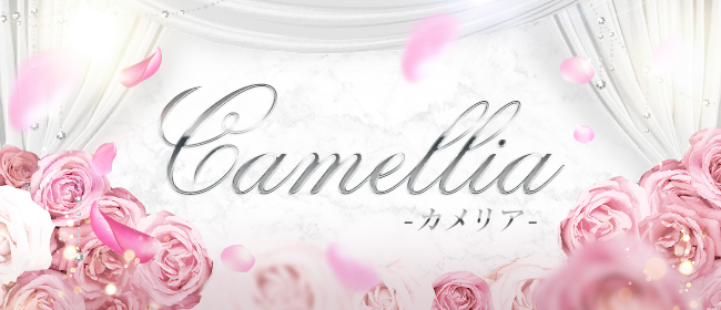 Camellia-カメリア-