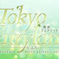 Tokyo fairy land-東京フェアリーランド-