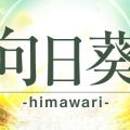 向日葵-himawari-