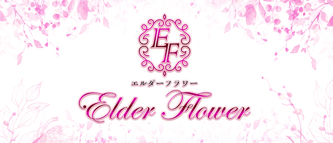 Elder Flower（エルダーフラワー）