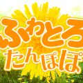 たんぽぽ